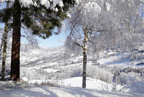 view on valley in winter isere grenoble french alps