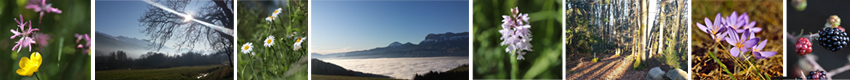Camping les 7 Laux dormir une nuit en roulotte paysages